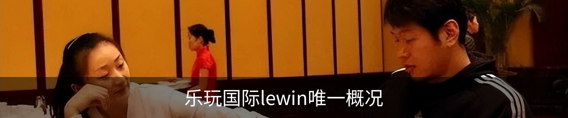 乐玩国际lewin唯一概况
